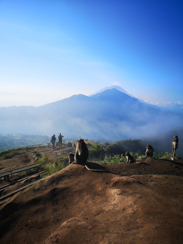 Visit Bali Holiday - Tour Bali (20)